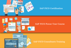 Read more about the article SAP FICO Course in Laxmi Nagar, Delhi with Free SAP Server Access, Best Independence Offer Aug’23