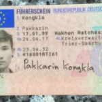 German-drivers-license.png