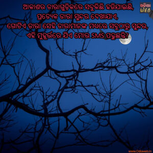 Read more about the article Odia Good Night Sms