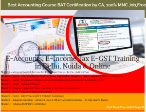 Read more about the article Advanced Accounting Course in Delhi, with Free SAP Finance FICO by SLA Consultants Institute in Delhi, NCR, Finance Analytics Certification [100% Job, Learn New Skill of ’24] New FY 2024 Offer, get Amazon GST Portal Professional Training,