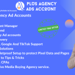 Plus-Agency-Ads-Pro.png