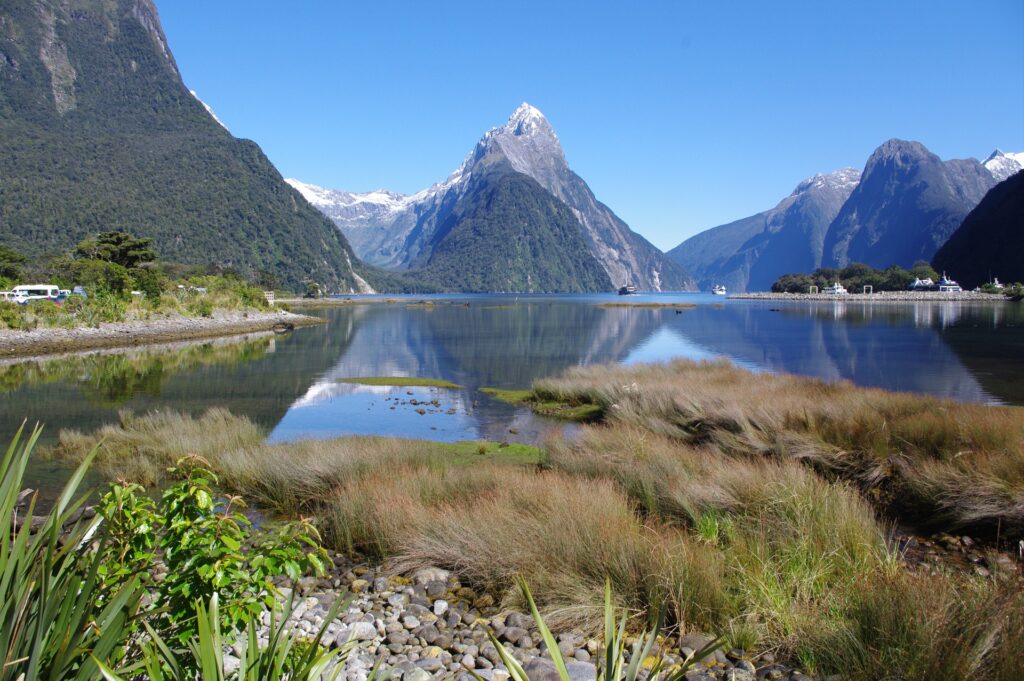 Read more about the article Milford Sound cruise experience